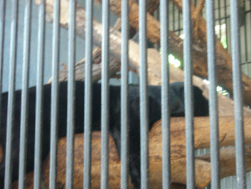 photo 100322