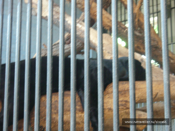 photo 100322