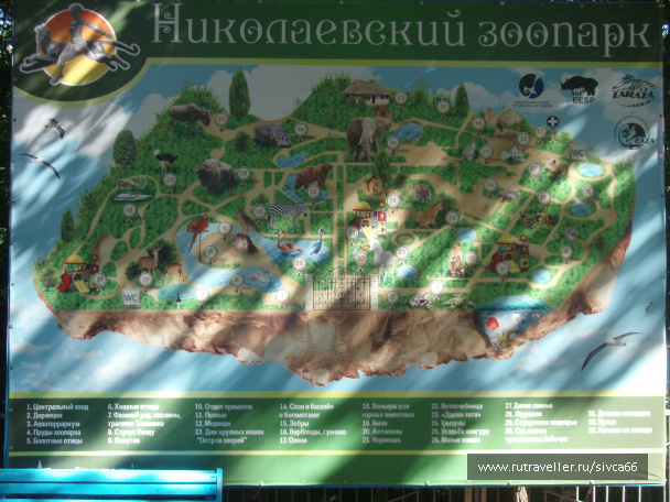 photo 100331