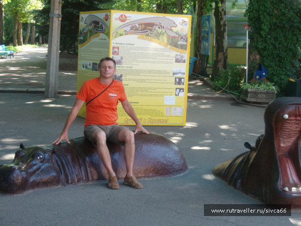 photo 100333