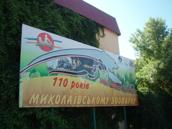 photo 100334
