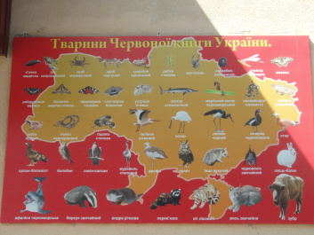photo 100338