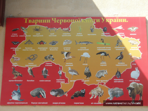 photo 100338