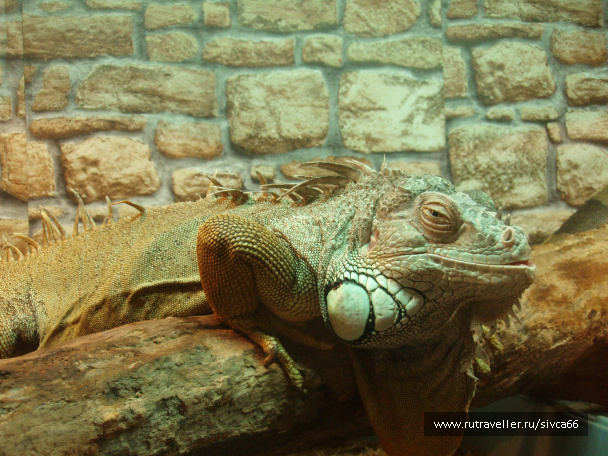 photo 100340