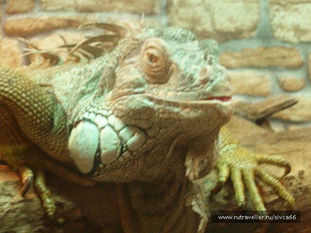 photo 100341