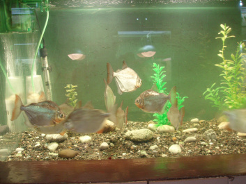 photo 100343