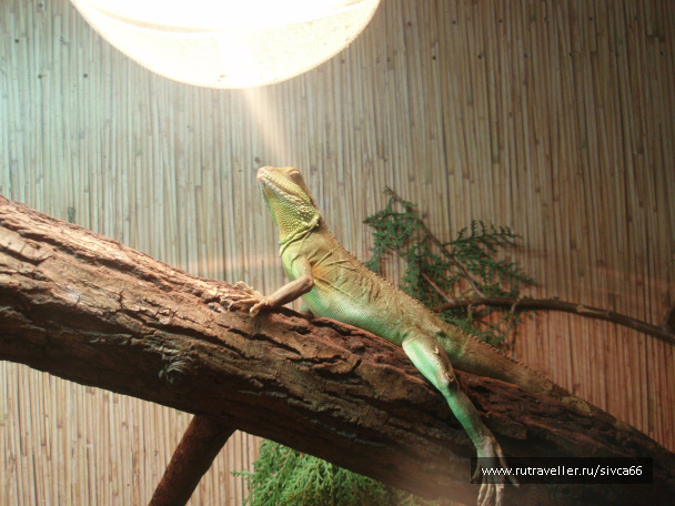 photo 100344