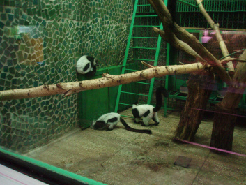 photo 100348