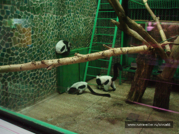 photo 100348