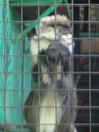 photo 100351
