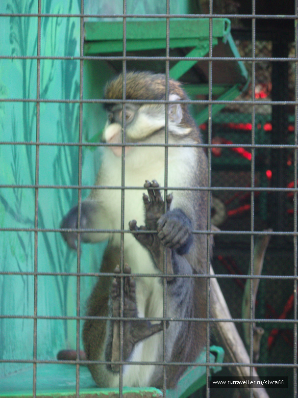 photo 100352