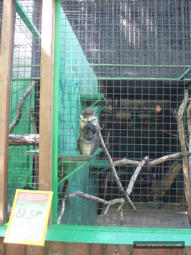 photo 100353