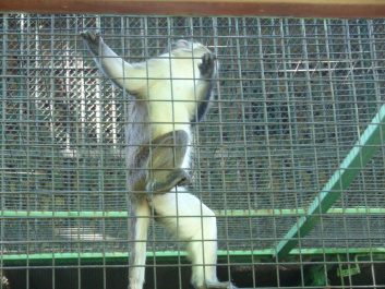 photo 100354