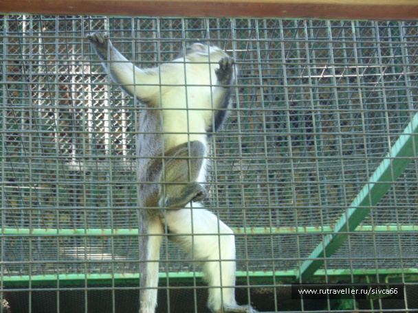 photo 100354