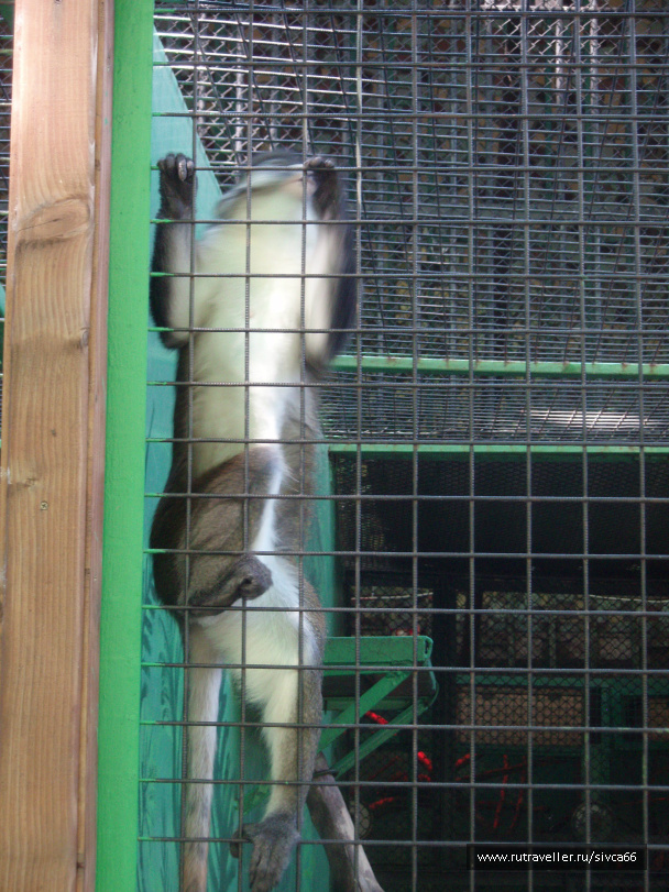 photo 100355