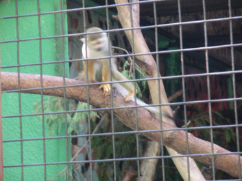 photo 100356