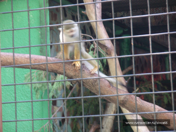 photo 100356