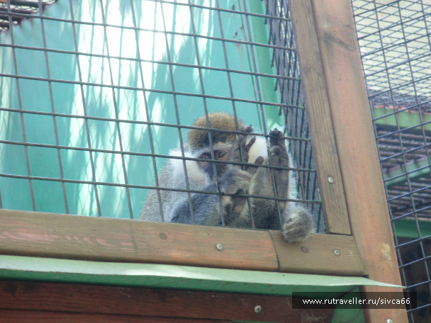 photo 100358