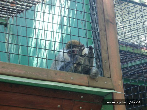 photo 100359