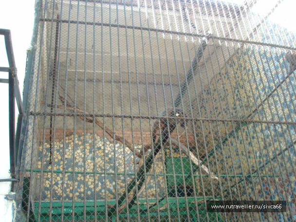 photo 100362