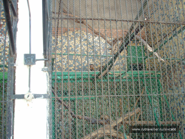 photo 100363