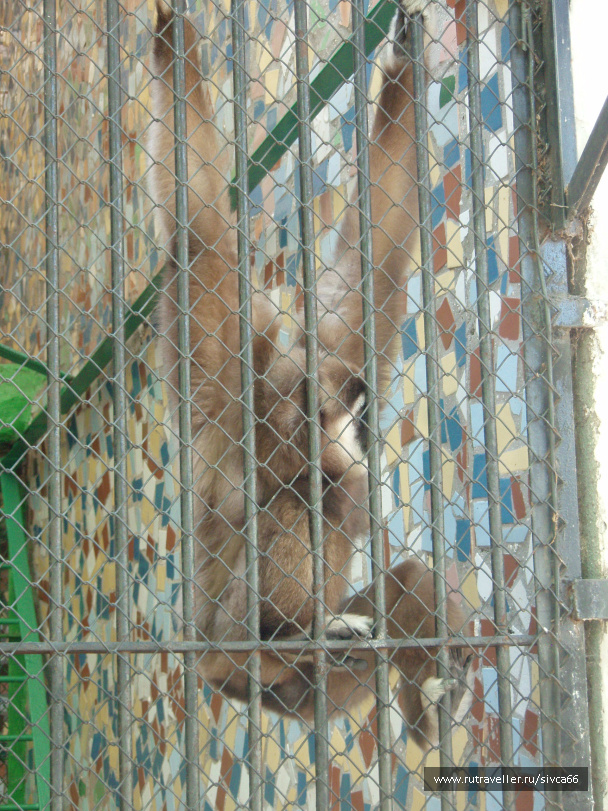 photo 100364