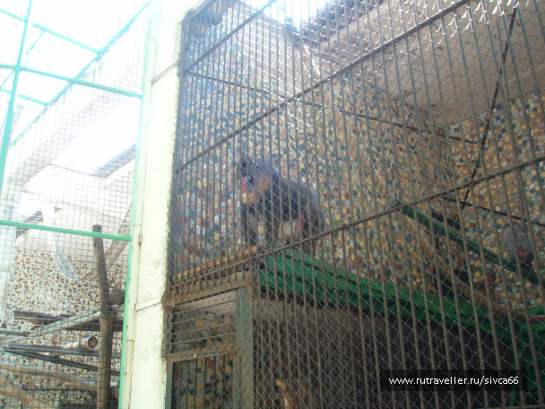 photo 100365
