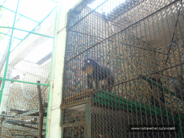 photo 100366
