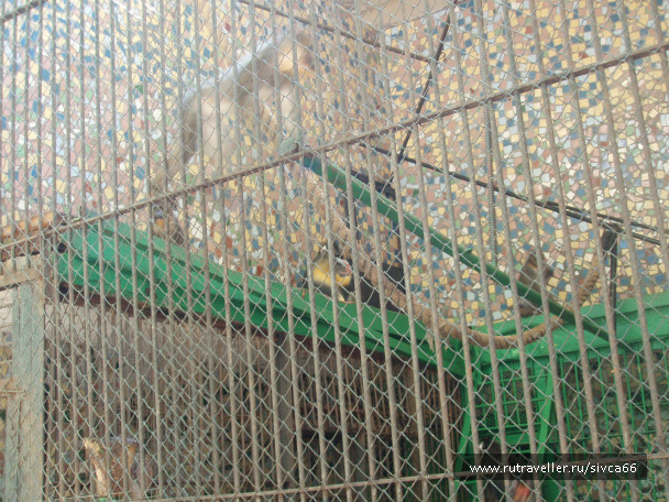 photo 100367