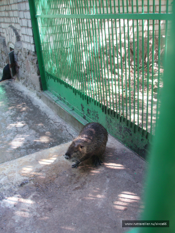 photo 100368