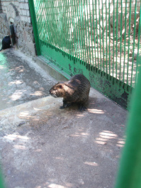photo 100369