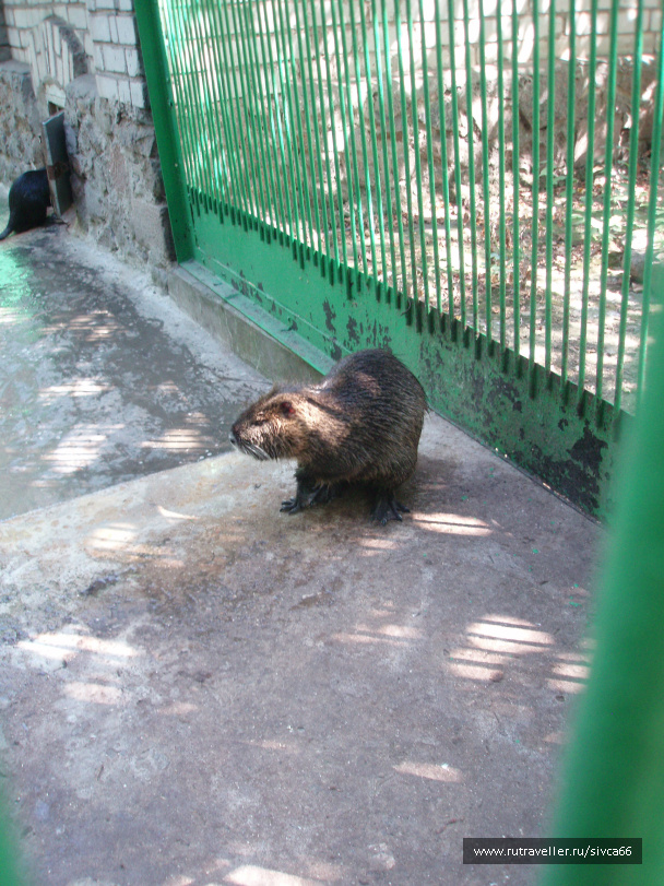 photo 100369