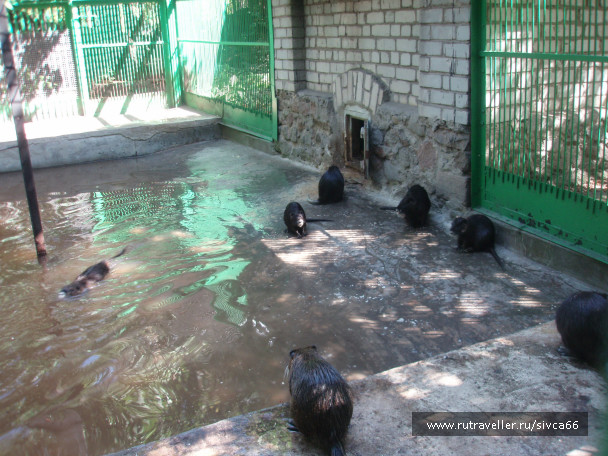 photo 100370