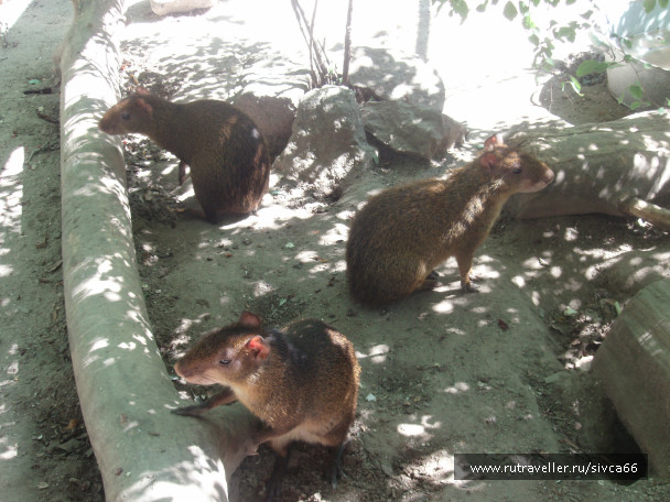 photo 100371