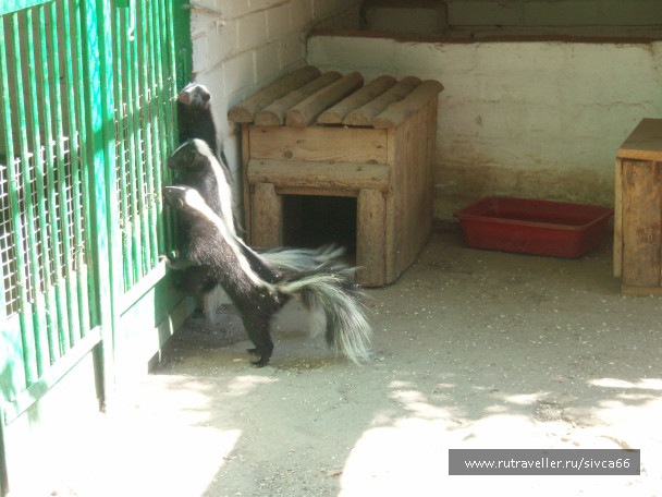photo 100372