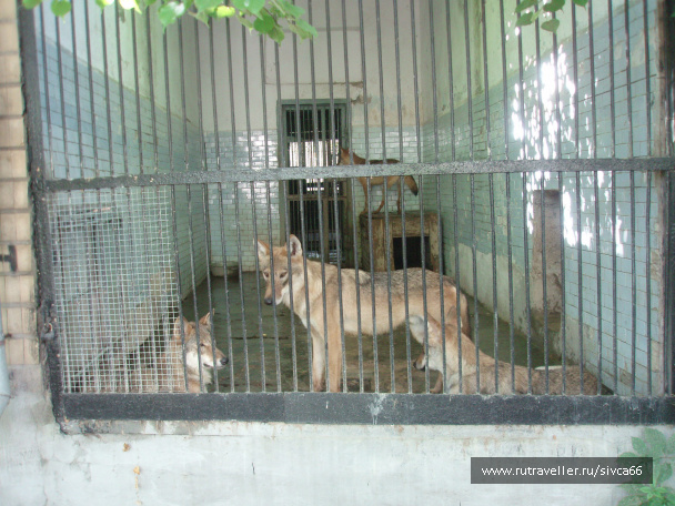 photo 100374