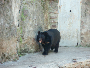 photo 100378