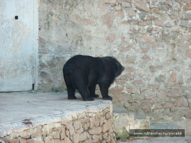 photo 100379