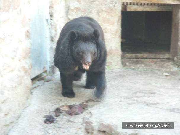 photo 100381