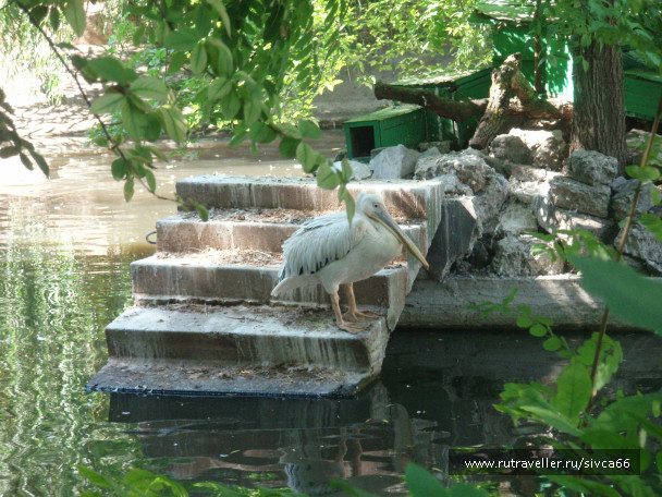 photo 100382