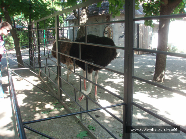 photo 100386