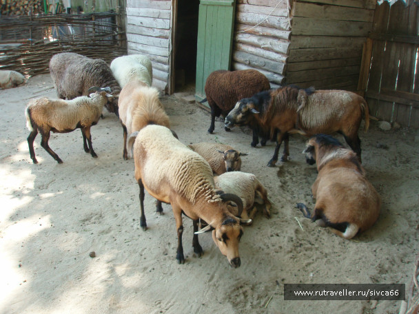 photo 100399