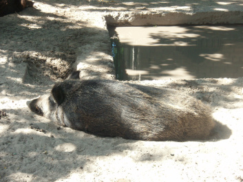 photo 100401