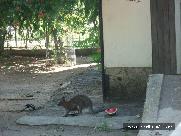 photo 100403