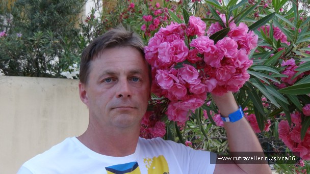 photo 788505