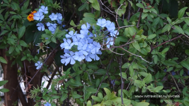 photo 788512