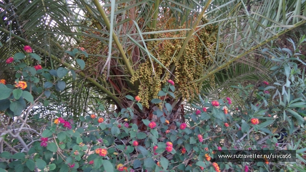 photo 788513