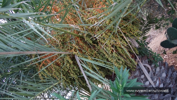 photo 788515