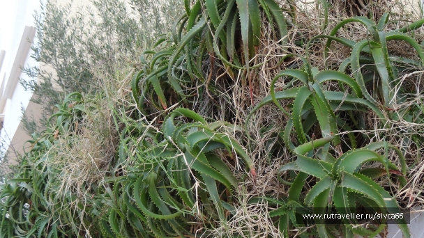 photo 788537