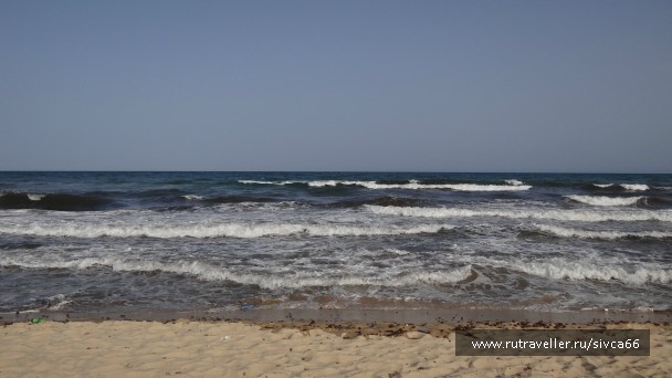 photo 788565